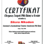 Certyfikat 2014 Kro