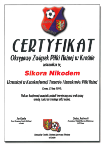Certyfikat 2014 Kro