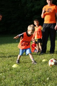phoca_thumb_l_DSC08083